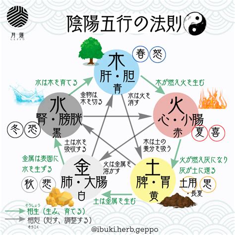 五行風水|風水の基本・陰陽五行説とは？概要をわかりやすく解。